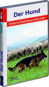 1002 Der Hund 2018